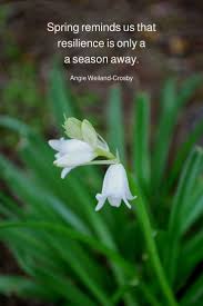 Spring Quotes With A Soulful Shimmer In 2020 Spring Quotes Spring Inspiration Quotes Flower Quotes