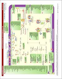 Memocharts Pharmacology Antibiotics Review Chart