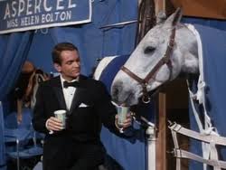 The Horse in the Gray Flannel Suit | Disney Wiki | Fandom