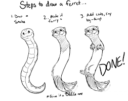 How To Draw A Ferret Ferret Funny Ferrets Cute Ferrets