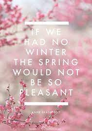 Happiness Quotes About Life Spring Quotes Happy Quotes Inspirational Quotes