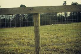 Our stores are open & ready to help you. Fences For Horses Uga Cooperative Extension