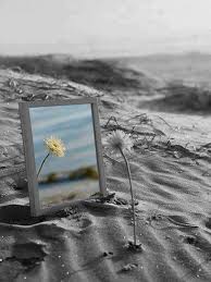 Artistic Black And White Mirror Photography Simply Beautiful World Tumblr Com Color Splash Photography Selective Color Photography Splash Photography