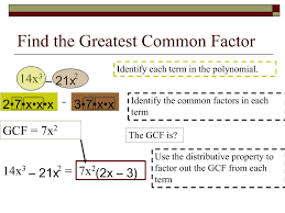 References, mainly most of the cubic polynomials with real coefficients do. Ppt Factoring Cubic Polynomials Powerpoint Presentation Free Download Id 229081