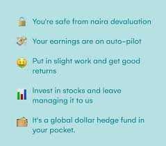 Risevest offers an intuitive and easy way to invest in global dollar denominated assets that beats inflation. Thread By Yosif Tee Want A Global Asset Manager Built Into Your Phone Where You Can
