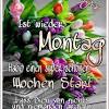 Ich denk an dich am heutigen tag, weil ich dich. Https Encrypted Tbn0 Gstatic Com Images Q Tbn And9gctkbk F1uzdjs3ko0c2x C945dd1huyh5sx4xmcbyjwlxfl3jja Usqp Cau