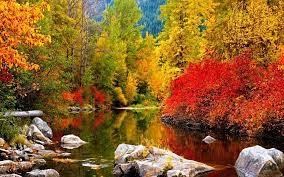 This Was From A Wallpaper Site Can You Imagine It On Your Family Room Wall Landscape Wallpaper Fall Wallpaper Desktop Wallpaper Fall