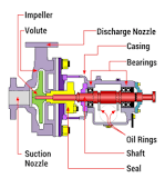 The Role of Pumps in Wastewater Treatment Plants - WIKA blog