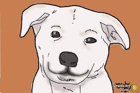 Use circles and ovals to create the different forms found in your pup's face, and draw very this step totally depends on your dog's breed and type of fur — our beagle's short, straight. How To Draw A Dog Face Drawingnow