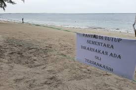 Sebelum membicarakan minyak jarak hitam jamaika, mari kita bahas apa minyak jarak itu. Pencemaran Limbah Minyak Hitam Terjadi Hampir Tiap Minggu Di Bintan Antara News