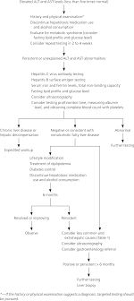 causes and evaluation of mildly elevated liver transaminase