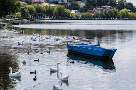 Image result for Orestias