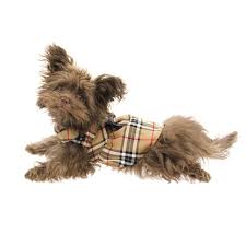 worthy dog tan plaid dog dress