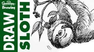 We did not find results for: How To Draw A Sloth Youtube