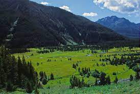 Yellowstone Park Arnold Hague And The Birth Of National Forests Wyohistory Org