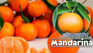 Propiedades Curativas Y Medicinales De La Mandarina Micomunidad Com Fruit Youtube