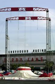 DiMaggio. The Babe. Brad Pitt. Derby Lane greyhound track hosted them all.