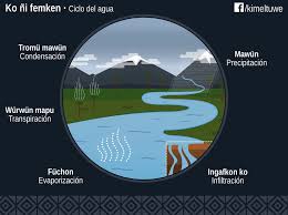 Pin De Sofy En Kimun Cultura Mapuche Ciclo Del Agua Mapuches