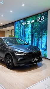 Image result for Carbon Steel Matte 2024 Slavia