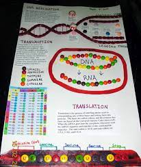 Pin On Education