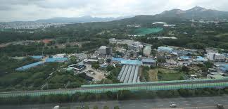 맹꽁이·문화재에 가로막힌 공공분양 - 매일경제