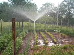 Sprinkler 3 Foot Tall Garden Lawn Sprinkler Works Like Rain The Best Garden Sprinklers Garden Watering System Lawn Sprinklers