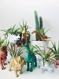 If You Re Shamelessly Dinosaur Obsessed You Ll Love These 11 Desk Accessories Succulent Garden Diy Succulents Diy Air Plants
