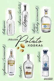 Beginner S Guide To Polish Vodka Best Brands Polonist Polish Vodka Vodka Polish Vodka Brands