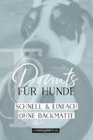 Diy Kreative Leckerli Donuts Fur Hunde Backen Herr Olaf Backen Basteln Hund Leben Diy Hundeblog In 2020 Leckerli Hundeernahrung Hunde Kekse Rezept