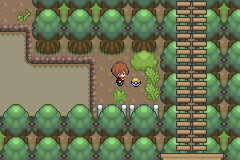 · pokemon unbound gba rom download,is a hack of pokemon fire red remake by darkfire72. Pokemon Unbound