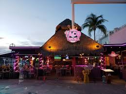 Už jste navštívili destinaci the surfin burrito? The 10 Best Burritos In Cancun Updated August 2021 Tripadvisor