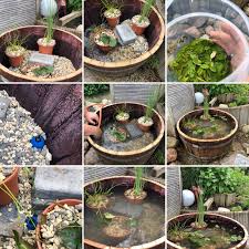 Jetzt Wird Es Nass Diy Miniteich Im Holzfass Elly S Do It Yourself Diy Ellys Holzfass Indoor Water Fountains J In 2020 Container Gardening Diy Fountain Plants
