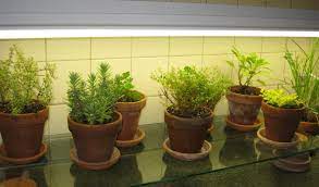 But, light intensity can improve or hinder the way your plants grow. Kitchen Counter Herb Garden Kevin Lee Jacobs