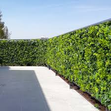 Search online for plant names that work well for screening in your usda planting zone (find your plant hardiness zone here ), or talk to your county extension agent. Balcony Terrace Outdoor Dining Privacy Fence Artificial Hedge Panels Modern Patio Houston By Greensmartdecor Houzz Ie
