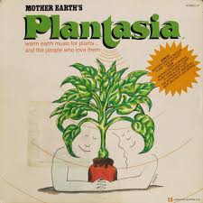 Plants perceive sound and love to play music. Gardening Matters Do Plants Like Music