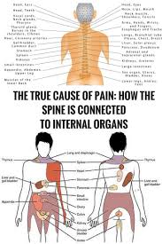 Pin On Health Tips