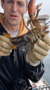 Jacob Knowles (@jknowles831) • Instagram-Fotos und -Videos