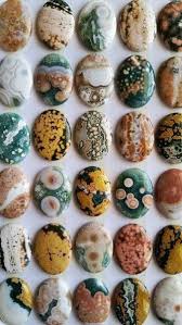 Capricorn Black Tourmaline Ocean Jasper Minerals And Gemstones Rocks And Minerals Crystals And Gemstones