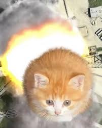 Image result for tbn:ANd9GcRQv4c2mV1wX5mYfUdrcLncYAn4iSxOWfC9Lh0wEBI1ROmnQ4sGgE1qG1E:http://s52.radikal.ru/i137/0906/9f/d603f06a1aac.jpg