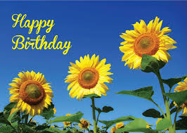 Spedisci a casa questo bellissimo fiore per qualunque evento o anniversario. Girasole Compleanno Auguri Amazon It Cancelleria E Prodotti Per Ufficio