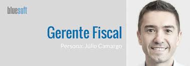 Persona Gerente Fiscal