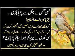 laalchi insan aur chiria ki naseehat moral stories in urdu stories in urdu hindi youtube urdu stories moral stories stories