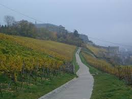 Das käppele wurde vom bayerischen landesamt für denkmalpflege als denkmal von nationaler bedeutung eingestuft. Wandern Wurzburg Von Der Festung Zum Kappele Tour 26296