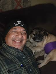 Good morning pug family have a safe bless day 🌬