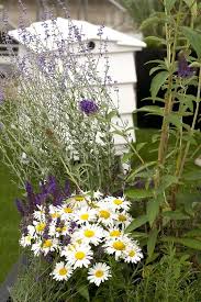Chicken Chores Explore Self Sustained Living Serafini Amelia Free Range Bee Hive Planting Flowers Pollinator Garden Design Garden Design