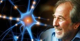 Lipton, it's because we don't just listen with our ears: Building A New Way Of Thinking Interview With Bruce H Lipton Intelligenthq