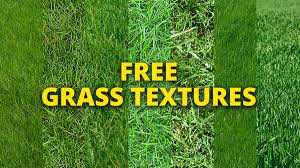 Free Grass Textures High Resolution For Photoshop The national audubon society has recently made every single one of these iconic illustrations available to download for free in high resolution (with a newsletter signup). free grass textures high resolution