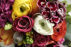 Packed 10 stems per bunch. A Colorful Wedding Bouquet With Roses Dianthus Primroses Poppy Stock Photo Picture And Royalty Free Image Image 6478566
