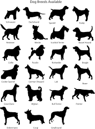 small dog breeds chart clipart images gallery for free