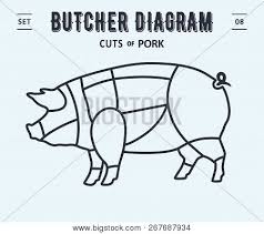 Cut Meat Set Poster Vector Photo Free Trial Bigstock